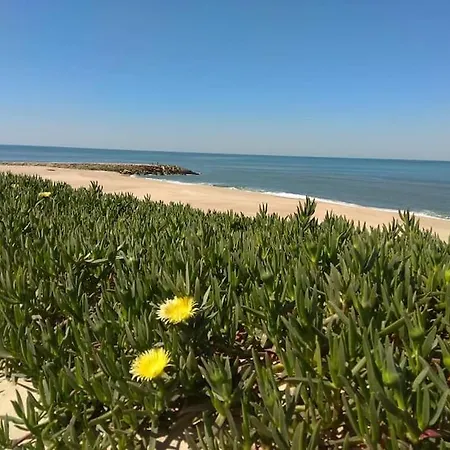 بيت للعطل Casa De Acolhedora/ Cosy House