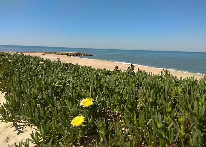 Holiday home Casa De Acolhedora/ Cosy House